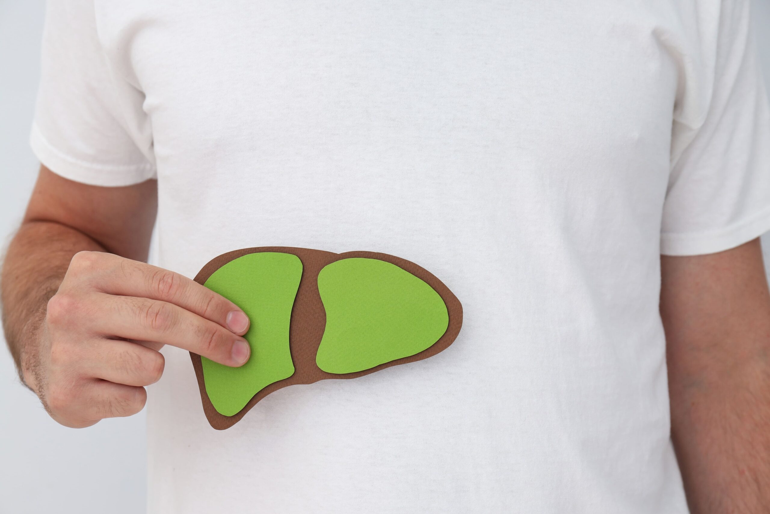 Image fatty liver