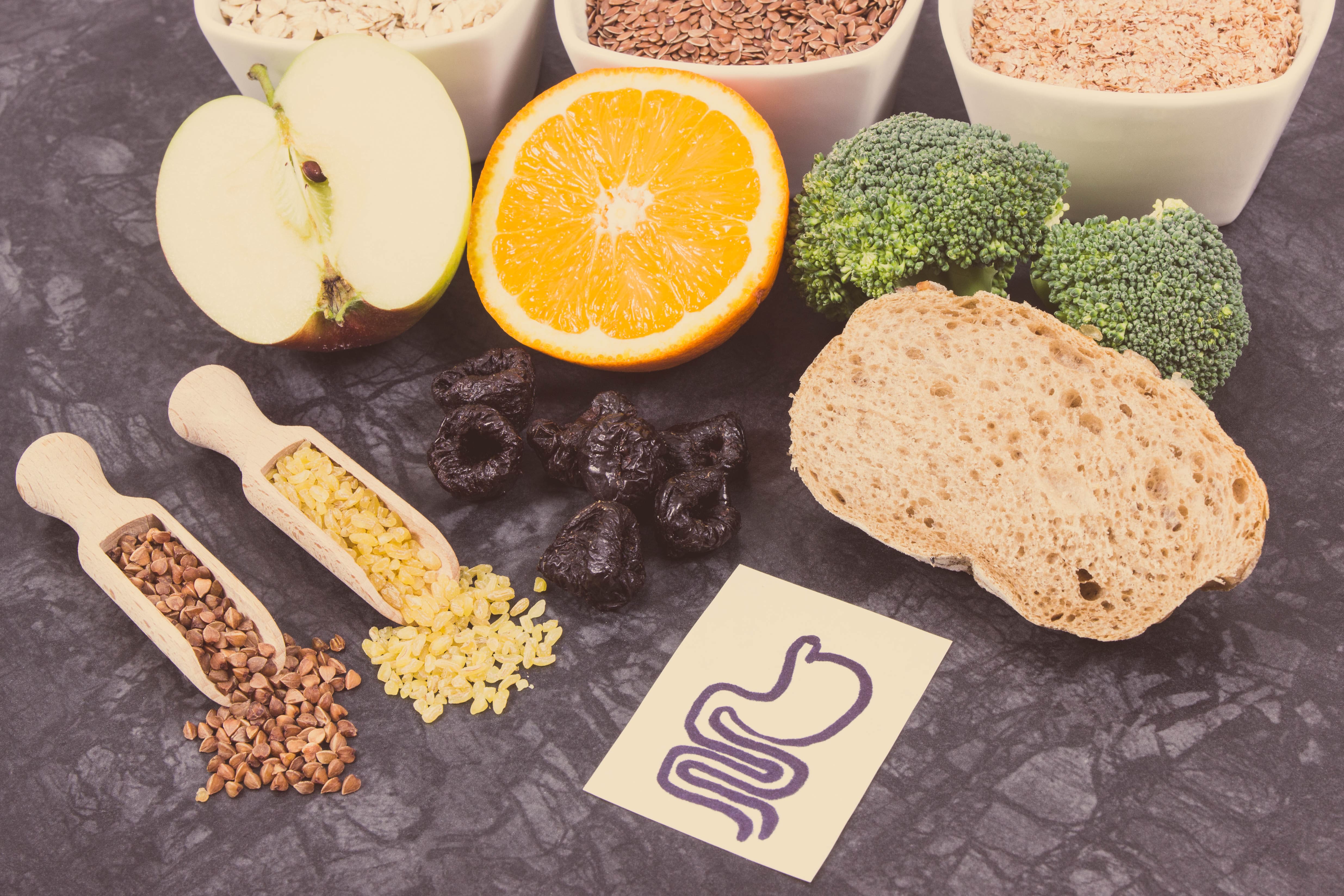 Hunger Fluctuation: Why Your Appetite Changes Every Day
