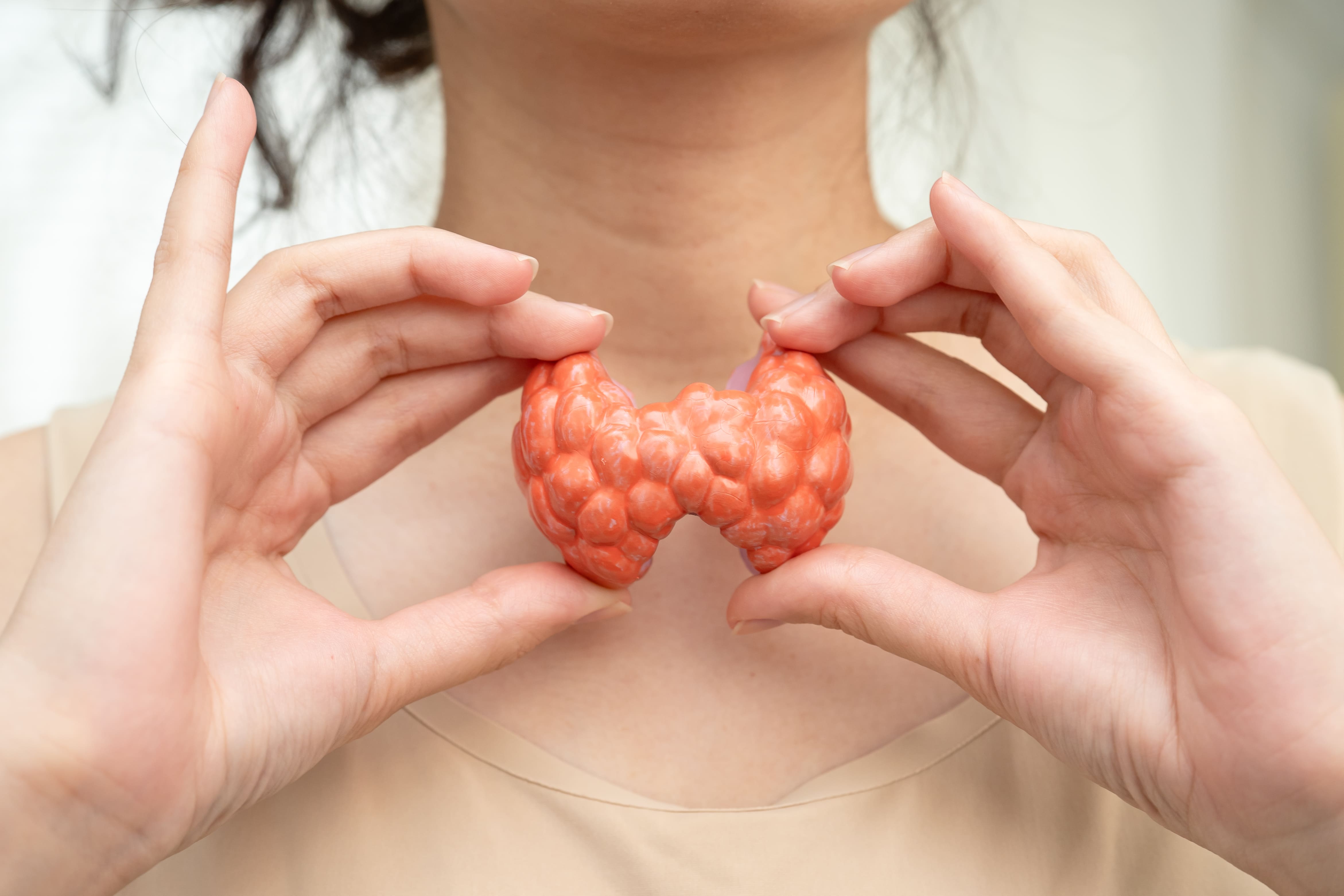 Image thyroid gland held by person with neutral expressi 2026 03 25 03 56 16 utc (1)