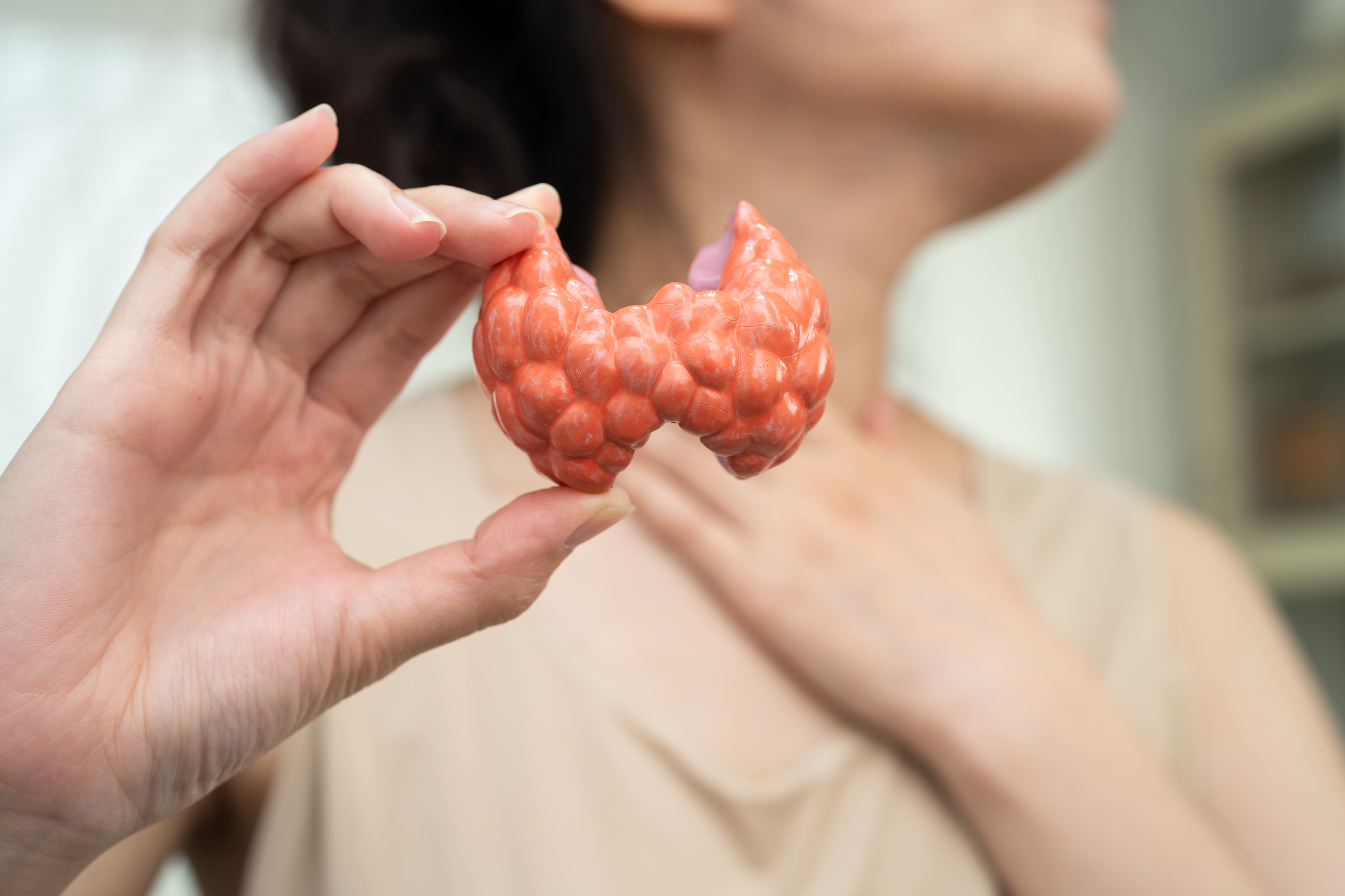 Image woman holding thyroid model for health concepts 2026 03 25 09 19 35 utc (1)